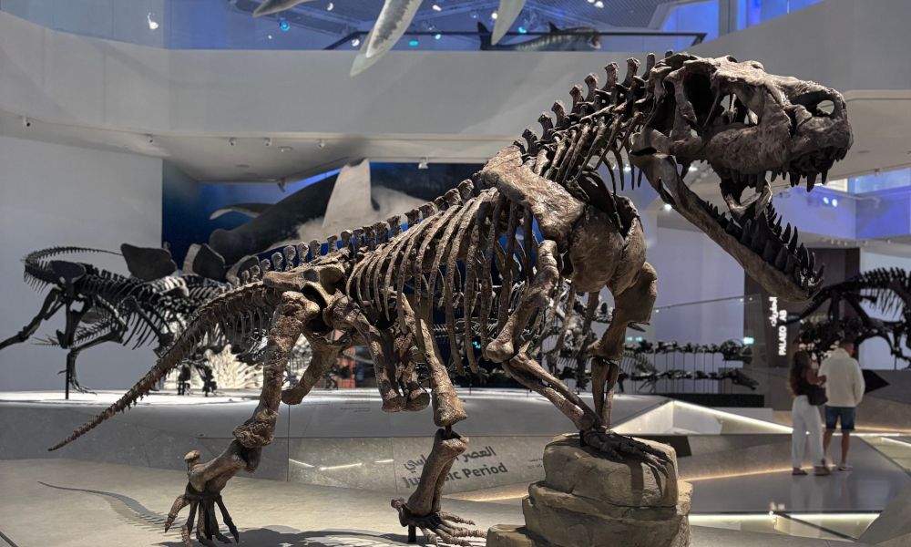dinosaur2.jpg