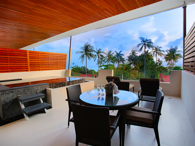 One Bedroom Penthouse 4
