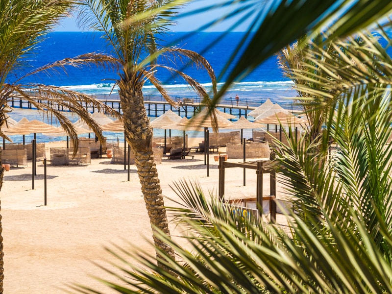 Siva Port Ghalib - Port Ghalib Resort (33)