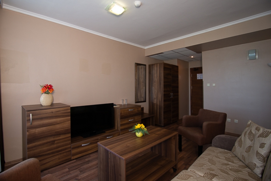 1 Bedroom Apartment 1