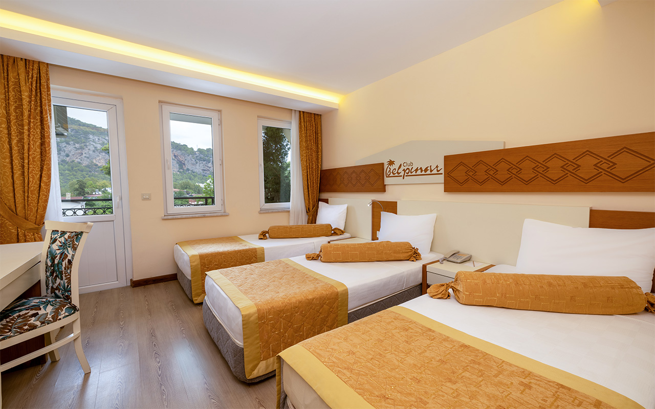 Standard Room Land View (1)