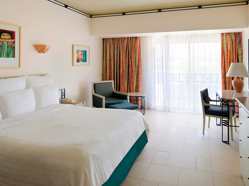 Garden View Room (7)