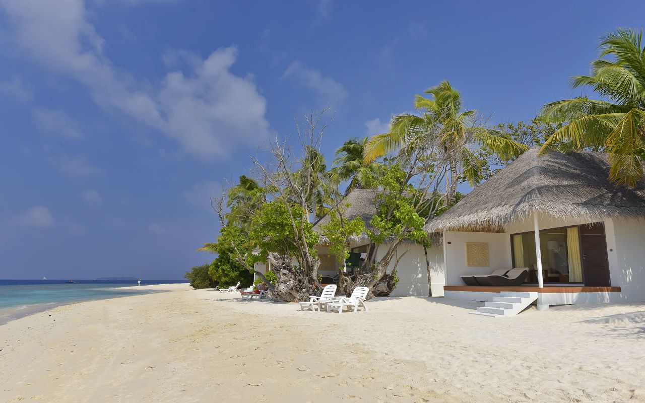 DL-HRES-Dreamland_Beach_Bungalow_02