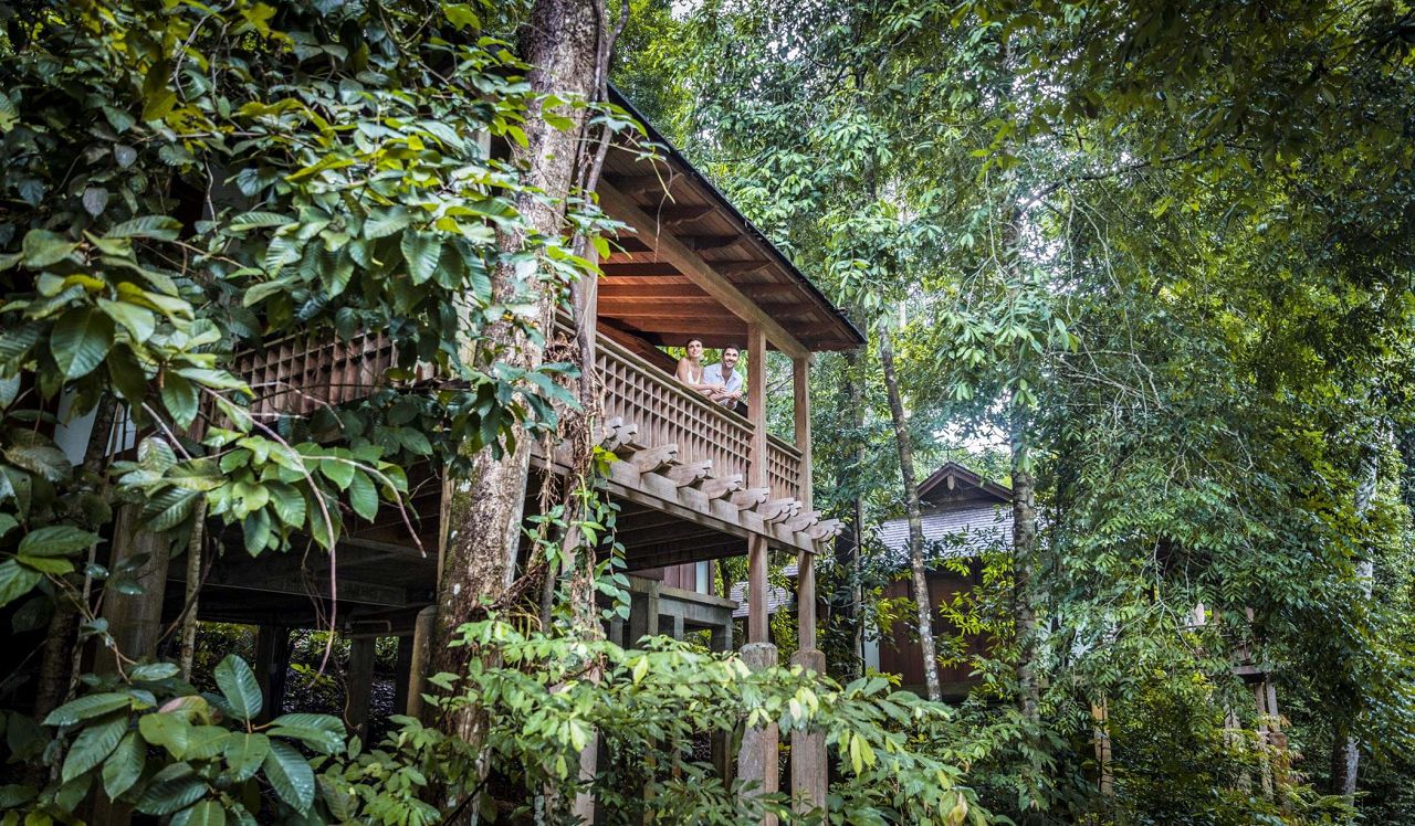 1rainforest_a7a8420v2_pg103