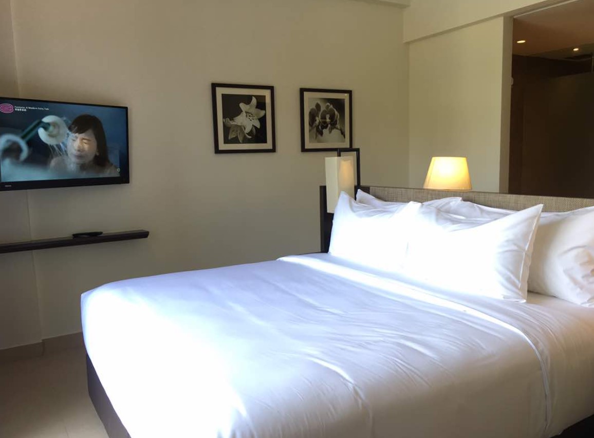Deluxe Room Pool Wing 2