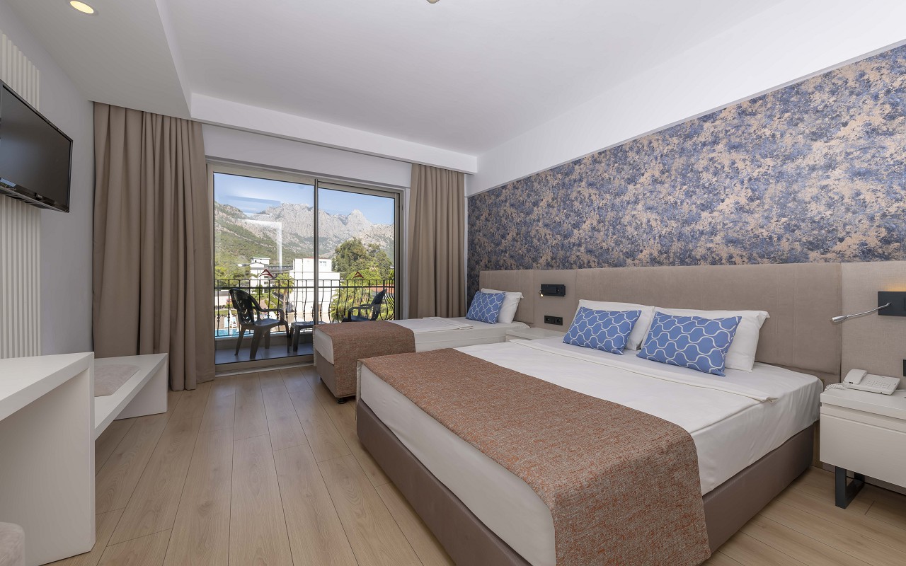 Standard Room (2)