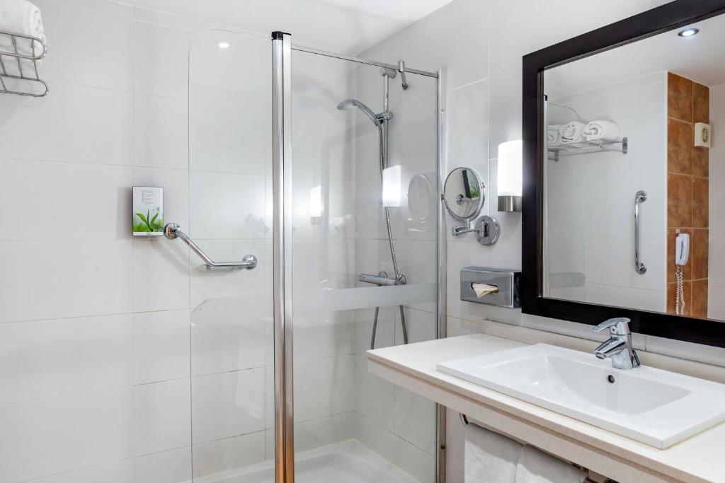 1-Bedroom Apartment 4
