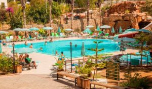 Green life hotel 4 турция аланья. Смотреть фото Green life hotel 4 турция аланья. Смотреть картинку Green life hotel 4 турция аланья. Картинка про Green life hotel 4 турция аланья. Фото Green life hotel 4 турция аланья