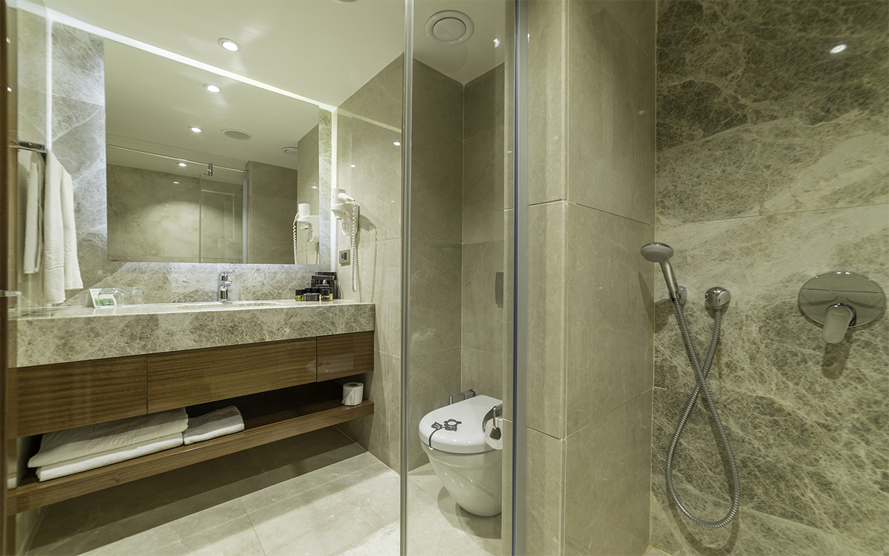 Junior Suite Land View (7)