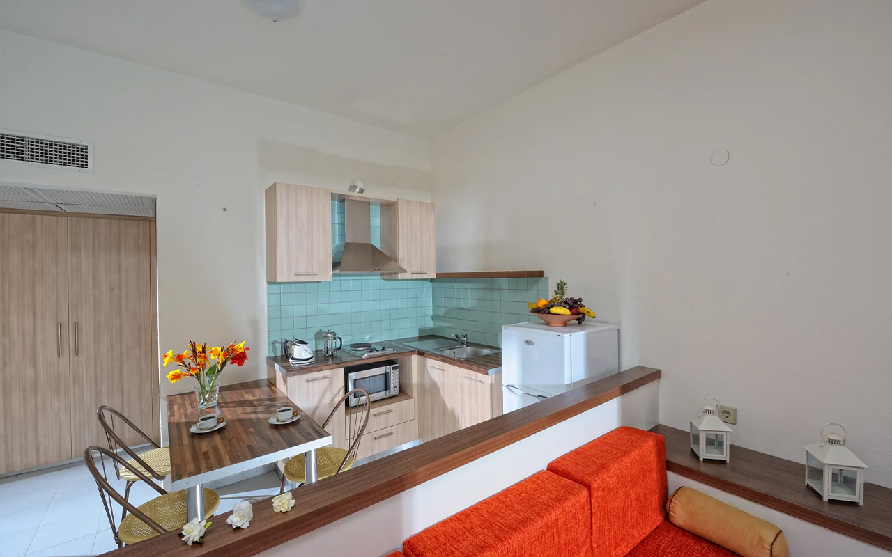 One Bedroom Apartment5
