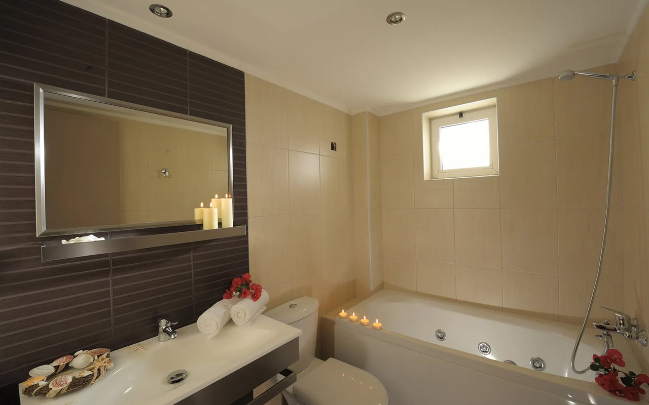 One Bedroom Apartment8